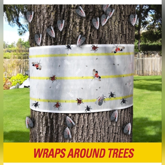 PIC Spotted Lantern Fly Trap, 1 Roll 20ft Roll Each,Flying Insect Trap,Glue Trap - Picture 4 of 11